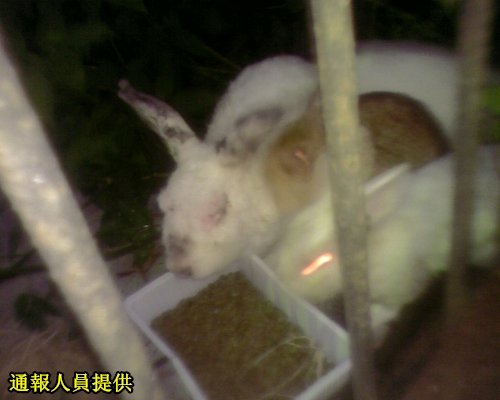 相片-0022.jpg