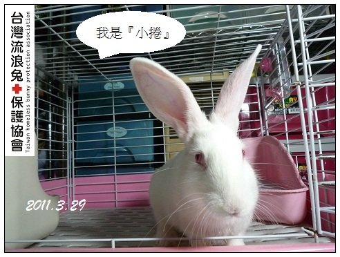 小捲1.JPG