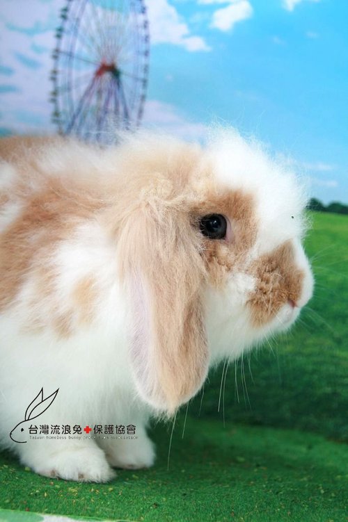 08小慈.jpg