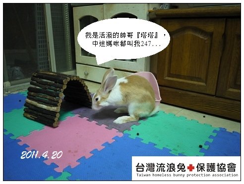 塔塔1