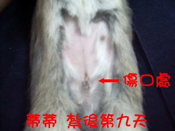 IMGP1529.jpg