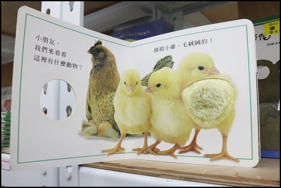 竹北小人國童書上誼信誼14.JPG