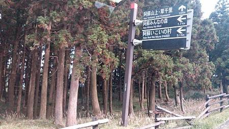IMG_20141009_124003