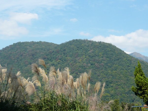 P1020344.JPG