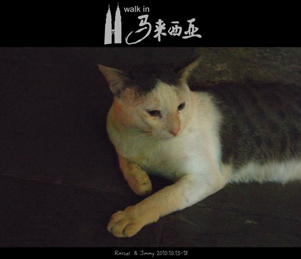 991014馬來西亞DAY2-312.jpg