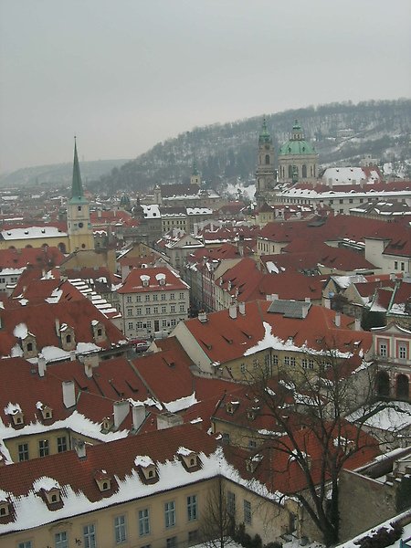 DSCN9775.JPG
