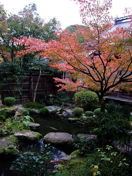 DSCF5515.JPG