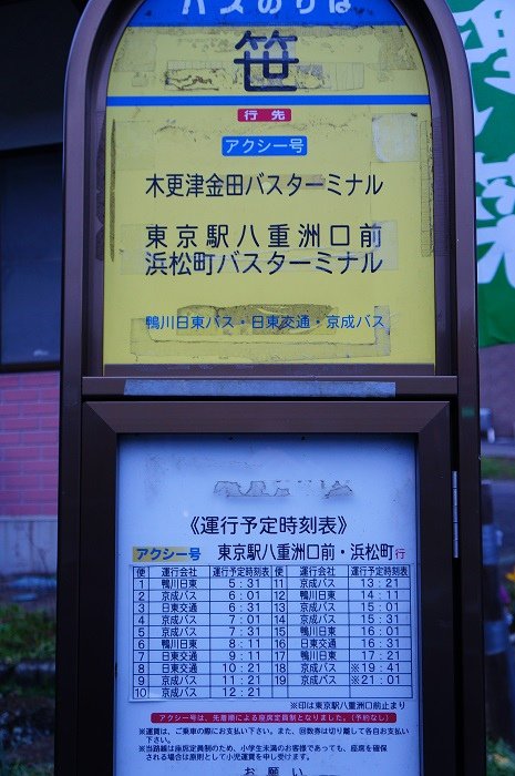 DSC01096.jpg