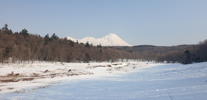 20190301_140915.jpg