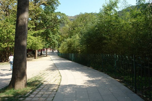 DSC07433.jpg