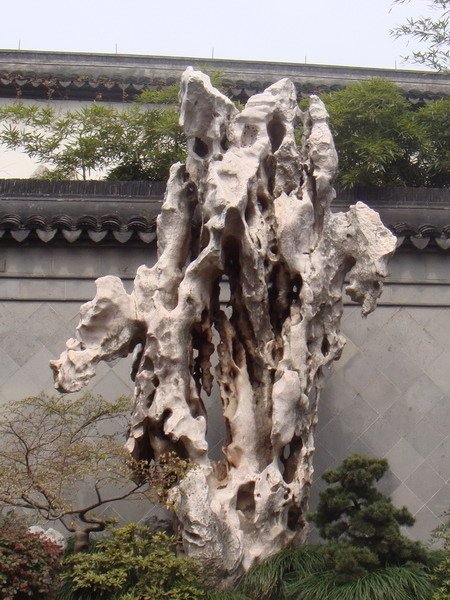 DSC04600.jpg