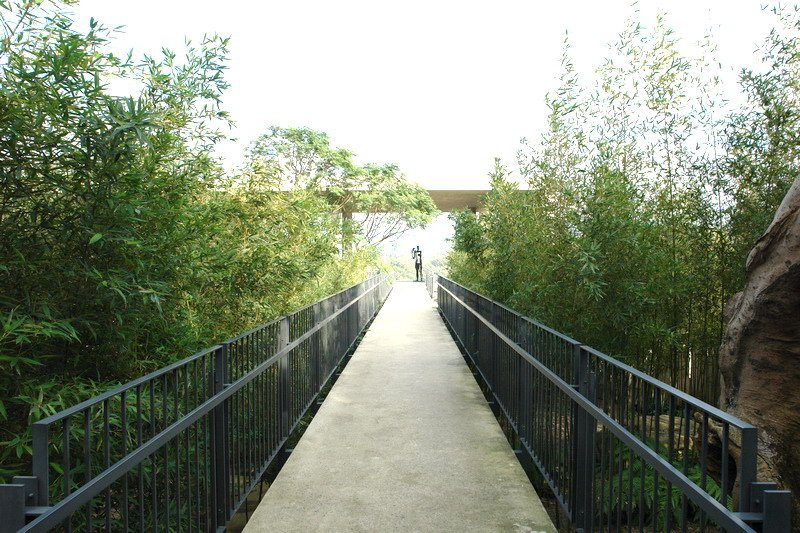 DSC09137