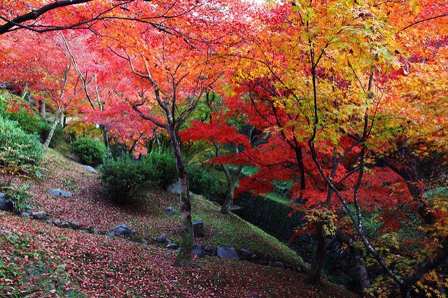 東福寺