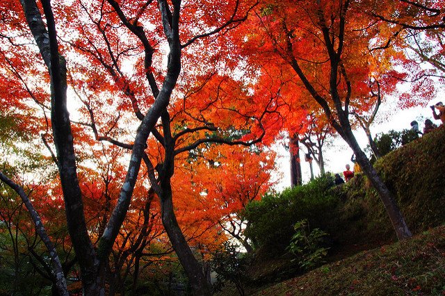 東福寺