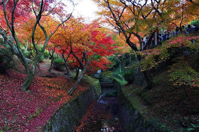 東福寺