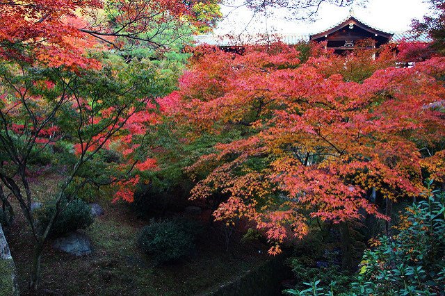 東福寺