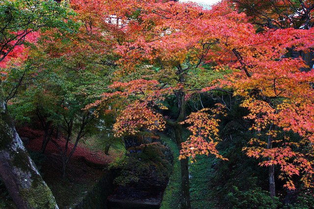 東福寺