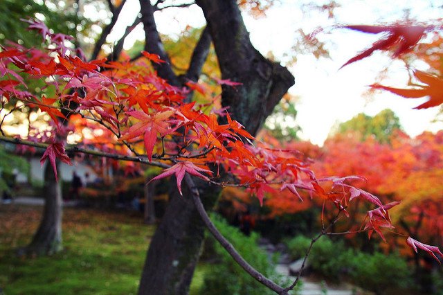 東福寺