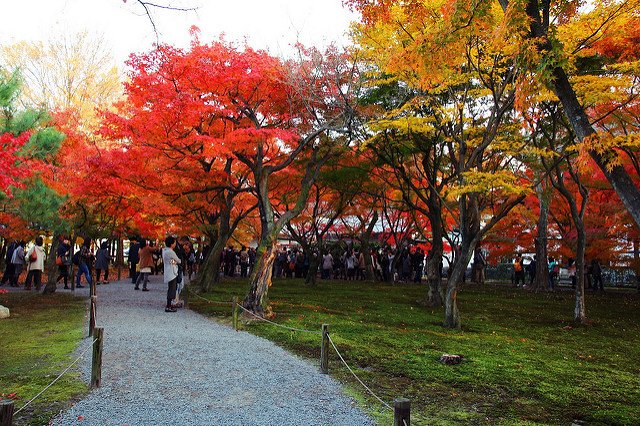 東福寺
