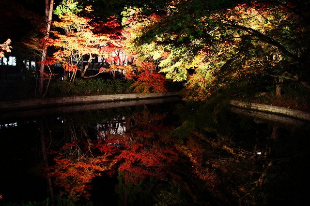 清水寺夜間參拜