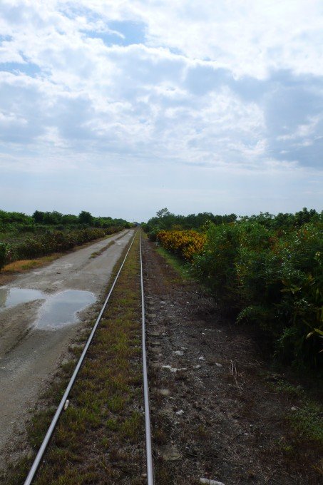 P1050755.jpg