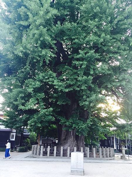 20160610名古屋：機場-高山_679.jpg