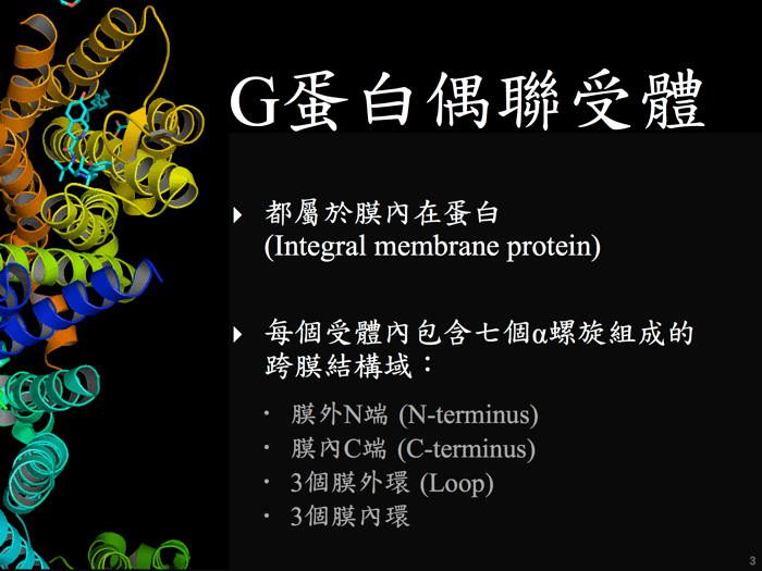 學術簡報中英字型搭配