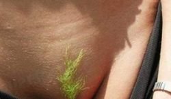 0718_under-hair_03l.jpg