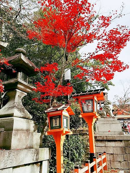 CYMERA_20161214_113936.jpg