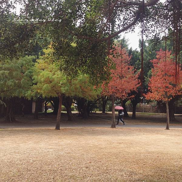 相片 2014-11-8 上午11 20 15