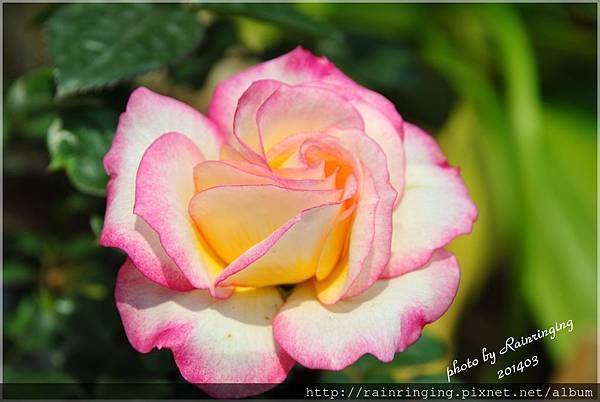 DSC_4244-53