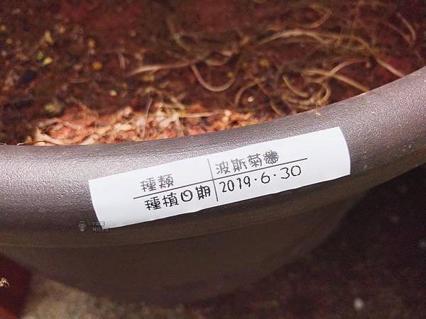 S__37019709.jpg