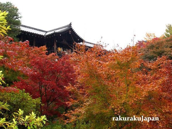 東福寺3.JPG