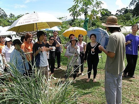 2010年馬來西亞斷食營經驗分享