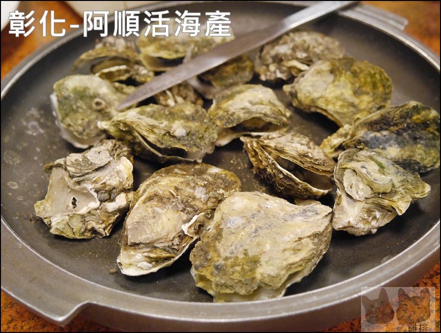 P1310052.JPG