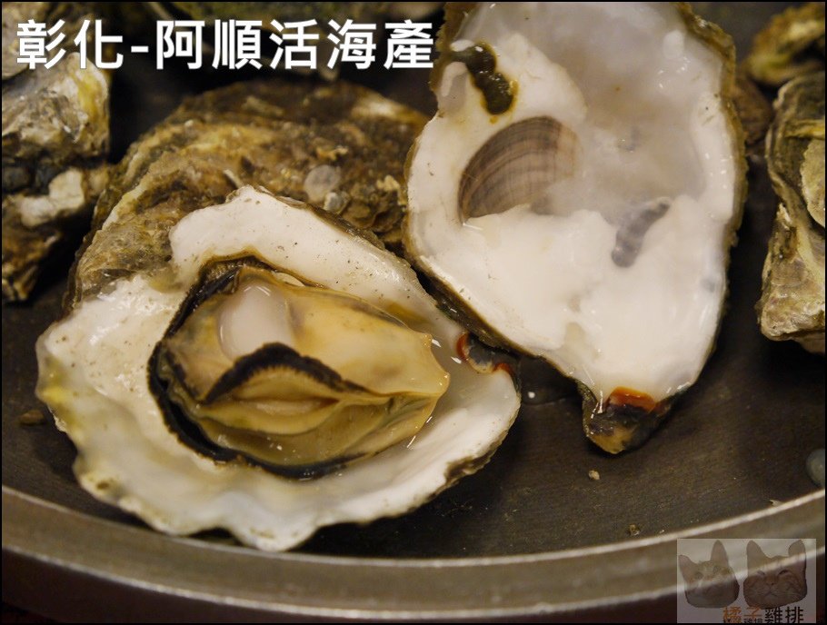 P1310053.JPG