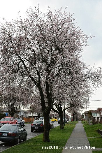DSC_2670.jpg