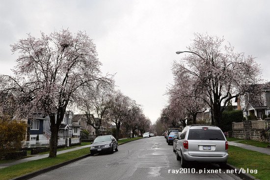 DSC_2676.jpg
