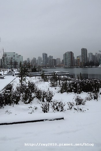 DSC_9940.jpg