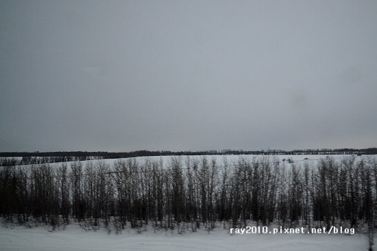 DSC_3113.jpg