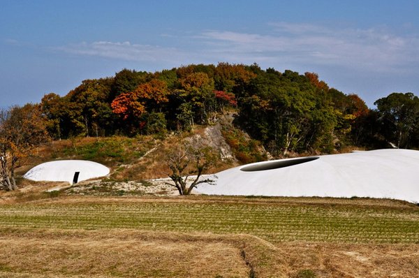 teshima12