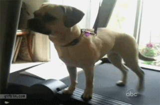 瘦下半身.gif