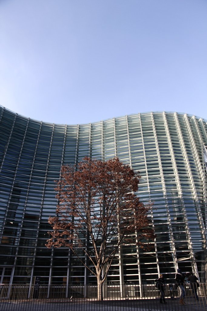 120127_479.JPG