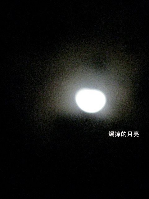 IMG_0052.jpg