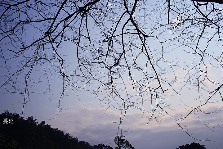 IMG_8531.jpg