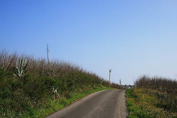 菊島 (148).jpg