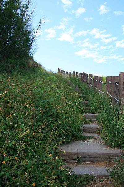 菊島花火 (73).jpg