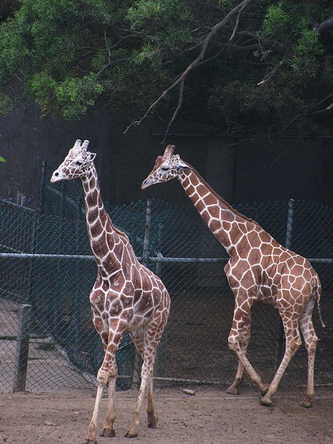 IMG_4295.jpg