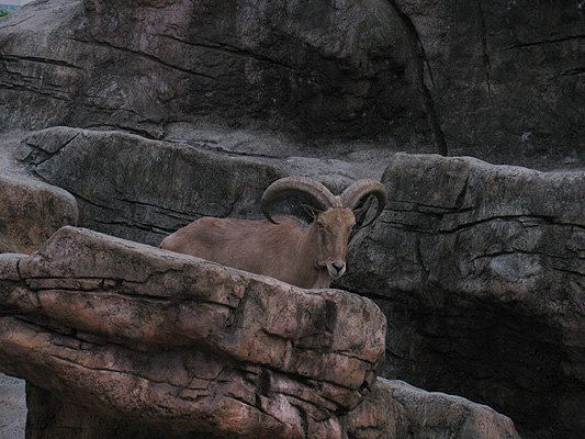 IMG_4300.jpg