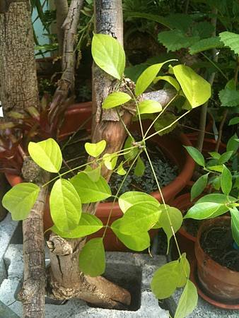 20120829_3
